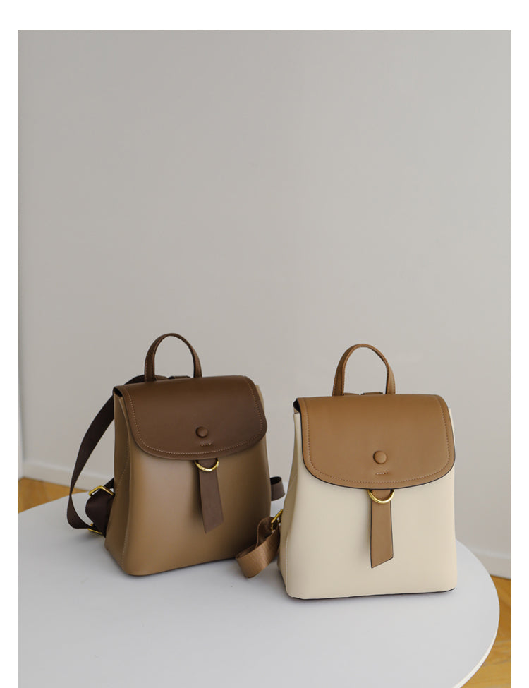 Leisure Travel Bag/Backpack/Schoolbag