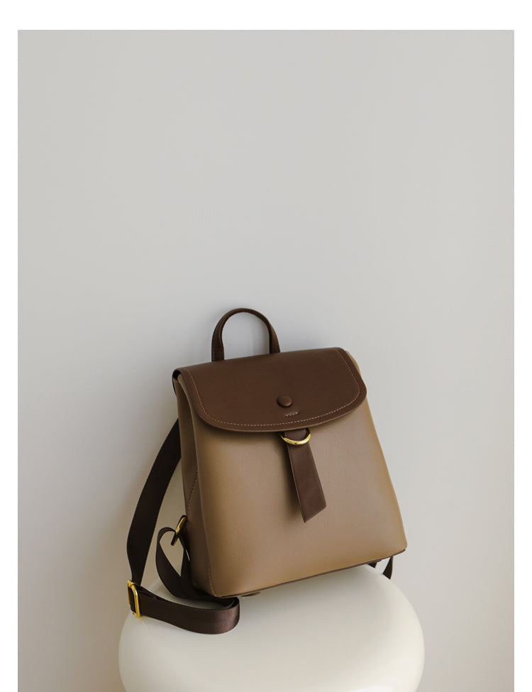 Leisure Travel Bag/Backpack/Schoolbag