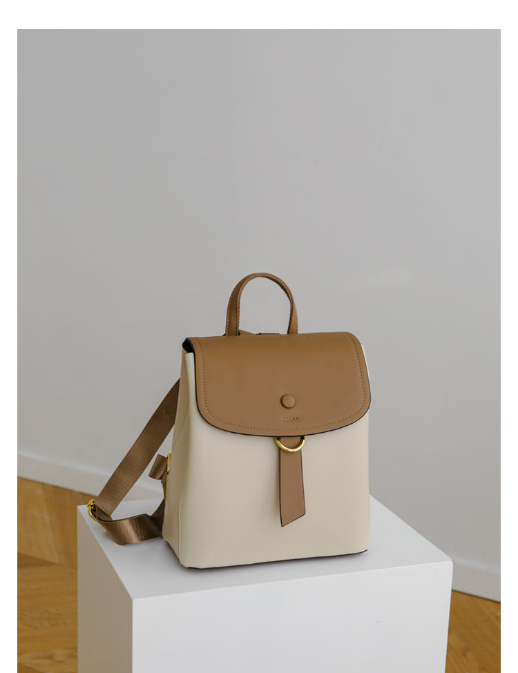 Leisure Travel Bag/Backpack/Schoolbag