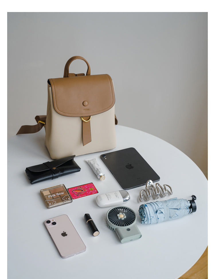 Leisure Travel Bag/Backpack/Schoolbag